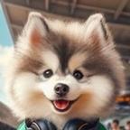 小捷克狼犬头像