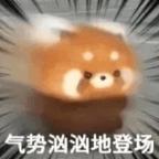 冒泡儿头像