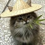 蟹蟹头像