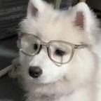 一辈子都不想上班+1头像
