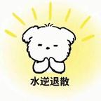 有点树汁呗头像