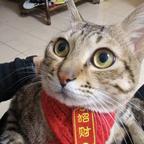 晟澈头像