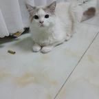 盈茂头像