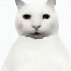 我是土狗我爱看头像