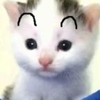 猫头像