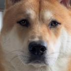 幽兰尤娜头像