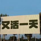 啧头像