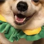 侠客头像