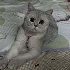 墩墩头像