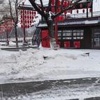 丽雅头像