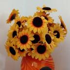 向阳而生🌻🌻头像