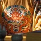 琉璃国的文青青头像