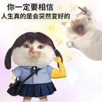 勤劳贤惠的大安哥头像