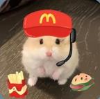 𝓝𝓸𝓸𝓱𝓸头像