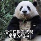 我是来看戏的头像