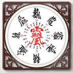 楚大鹰🦅头像