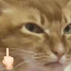 这次又不头像