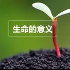 赢在人品、输在算计头像