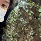 木西1108头像