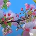 用户名45473833头像