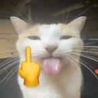 猫猫品鉴官头像