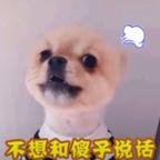 你一点也不可爱头像