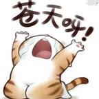续命中。。。头像