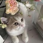 摄像头都不想看我一眼头像