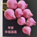 用户名63181292头像