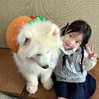 秋分头像