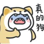 暮夕千念头像