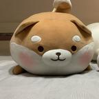 小呆呆头像