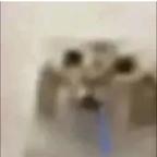 果果头像