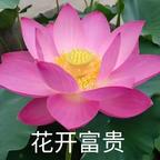 彭秋刚头像