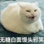 想到啥说啥头像