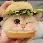 踩碎规则喂猫头像