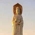 小苏头像
