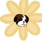 Lizzie头像