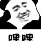 桂雨霖心头像