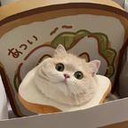 星期九头像