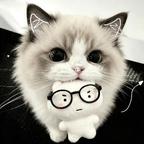 Cat头像