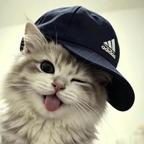 Cciuksssie头像