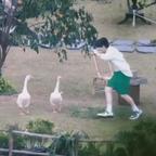 是我呀YH头像
