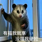 好剧收藏中头像