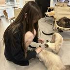 她说缘分淡如水头像