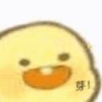 平泽塔象龟头像