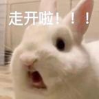 不看粗粮的阿良头像