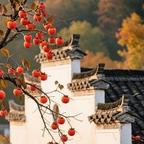 随意度春秋头像