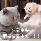 萧※♂头像