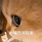 戏🎭头像